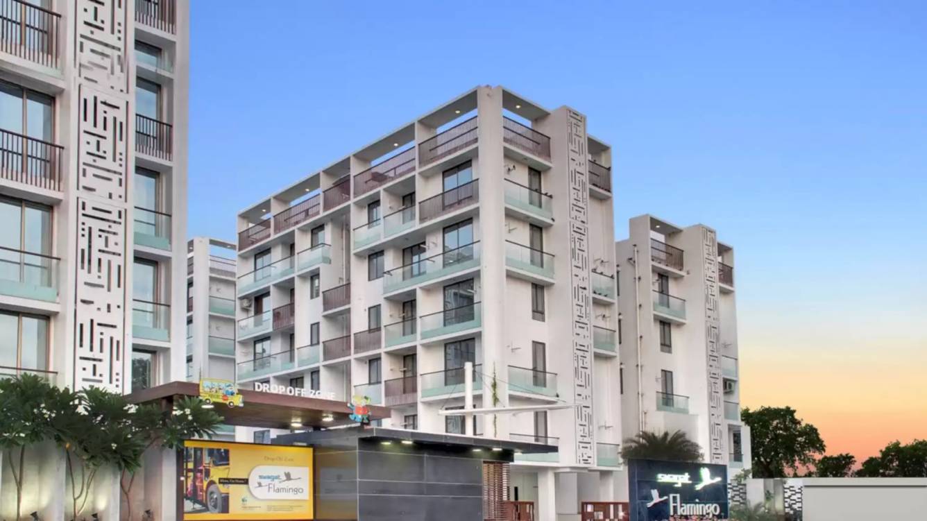  flamingo Images for Project