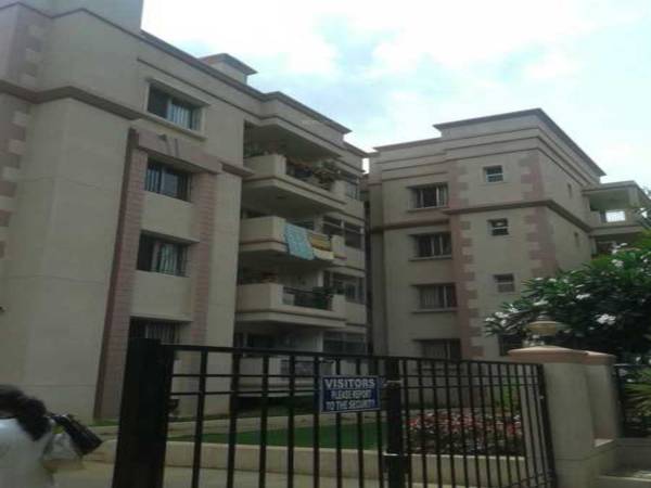 Elevation coral Elevation