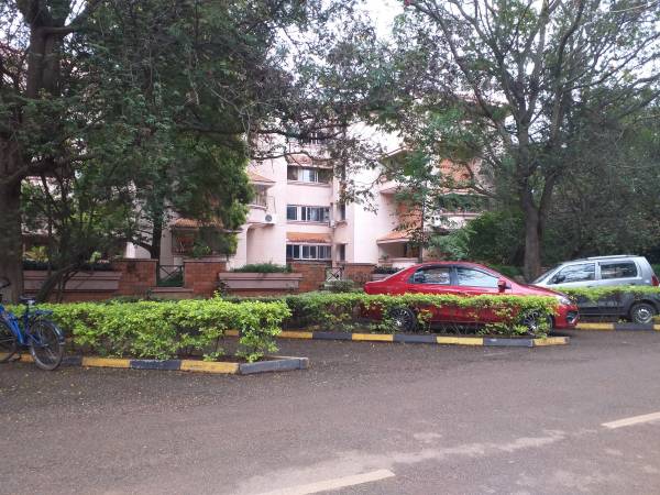 Car Parking coral Car Parking