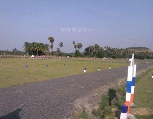 vip-housing-and-properties cynosure Main Other