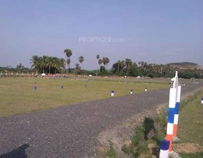 vip housing and properties cynosure Main Other
