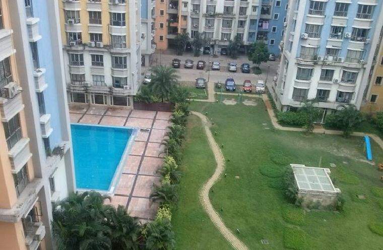  exotica Landscape Garden and Tree Planting