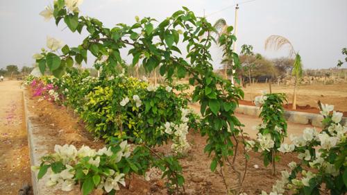  ambience Images for Main Other of SpaceVision Ambience