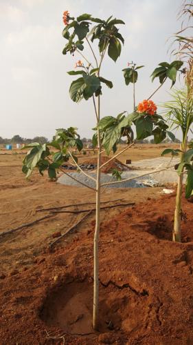  ambience Images for Main Other of SpaceVision Ambience