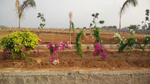  ambience Images for Main Other of SpaceVision Ambience