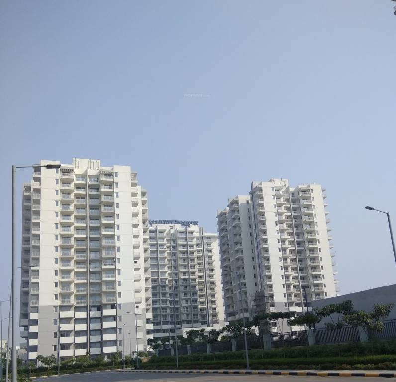  summit Images for Project