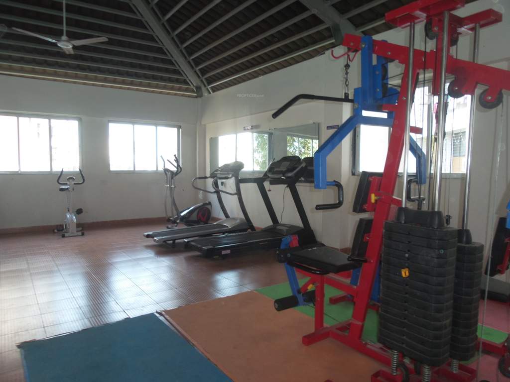  citi Gymnasium