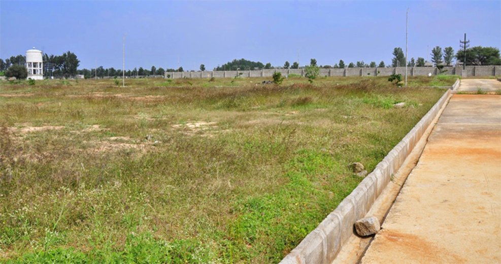  pine woods Images for Main Other of Peninsula Infra Pine woods