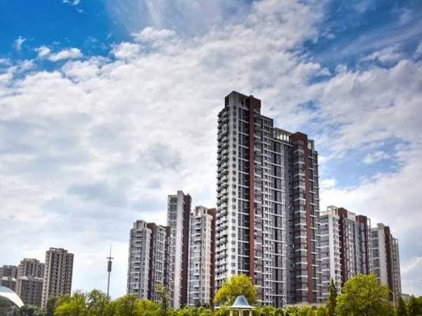  palm-greens Elevation