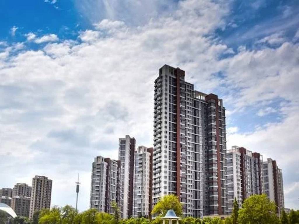 palm greens Elevation