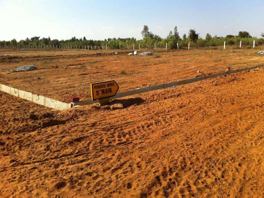 Images for Main Other of Kadam Group Primrose Woods