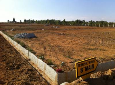 Images for Main Other of Kadam Group Primrose Woods