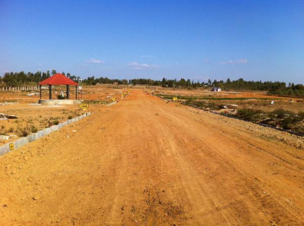 Images for Main Other of Kadam Group Primrose Woods