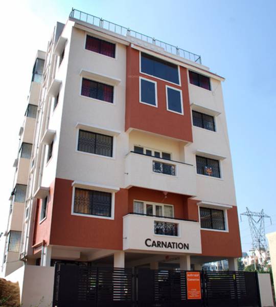 Elevation habitat-carnation Elevation