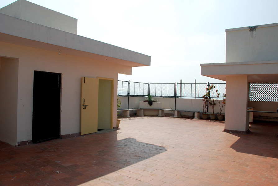  habitat carnation Main Other