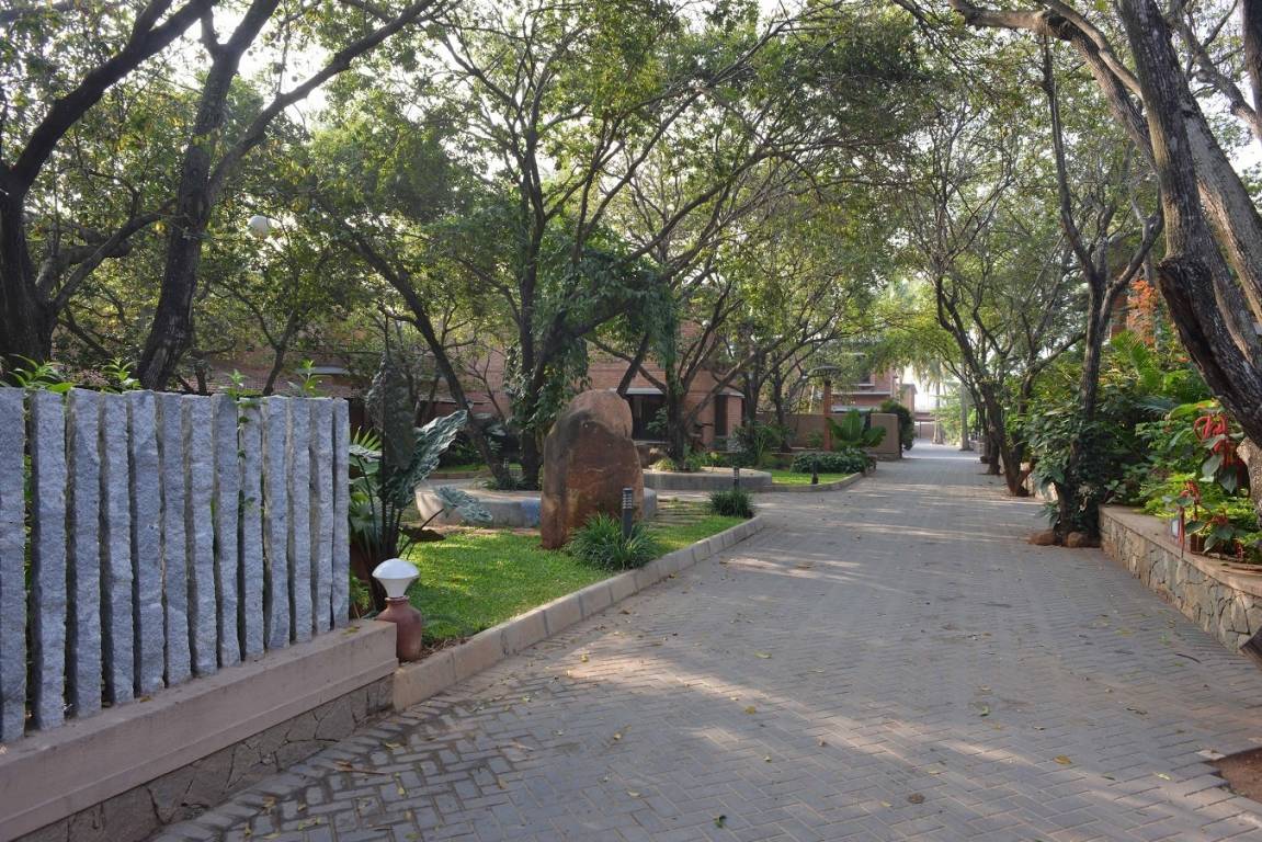  orchard Jogging Track