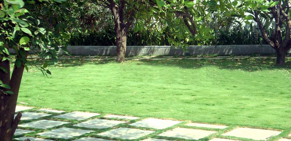 Images for Amenities of Manbhum Bougainville