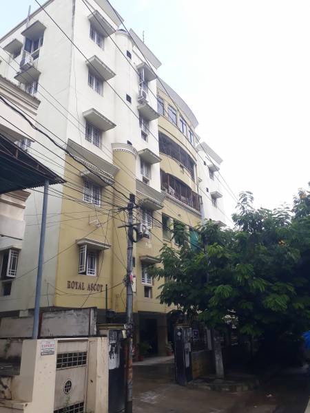  royal-ascot Elevation