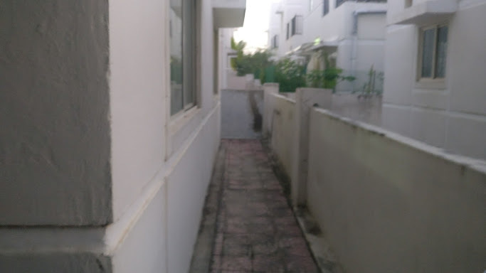 Images for mainOther