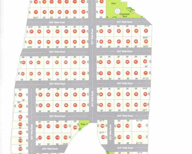 pride Images for layoutPlan