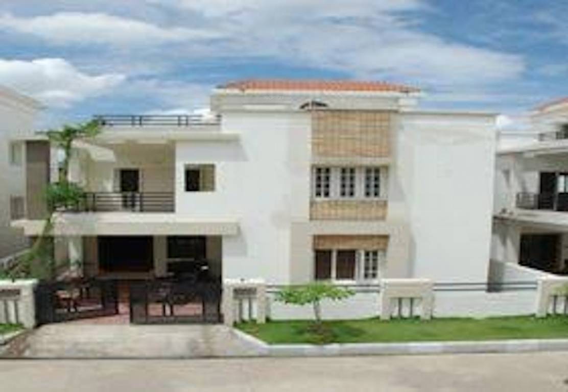 pride Images for Project