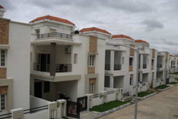  pride Images for Project