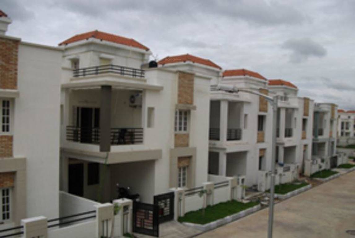 pride Images for Project