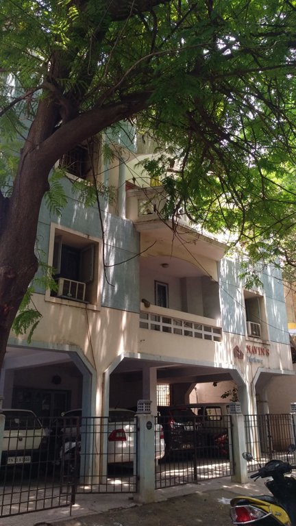  may flower Elevation