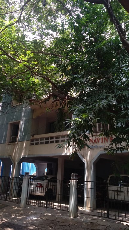  may flower Elevation