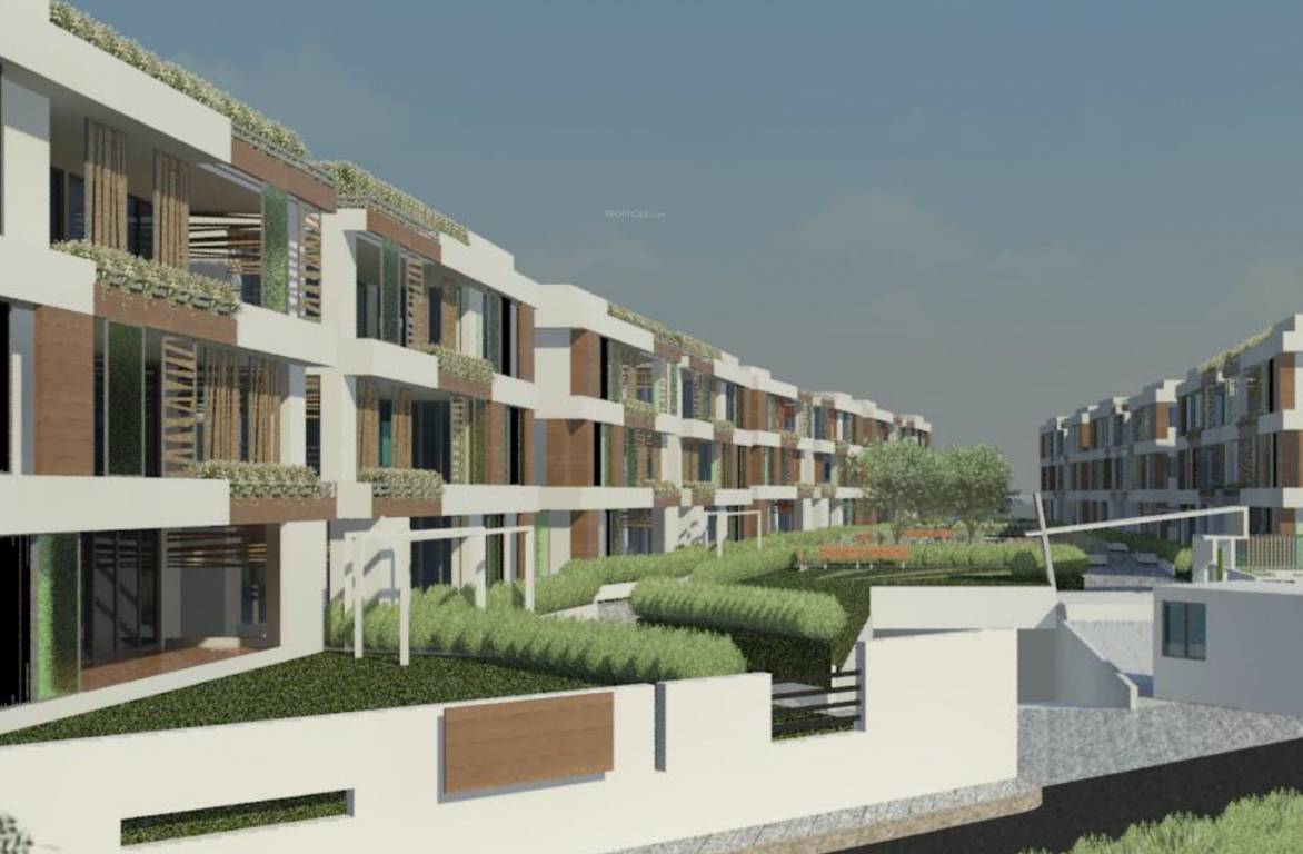 Elevation ariana Elevation