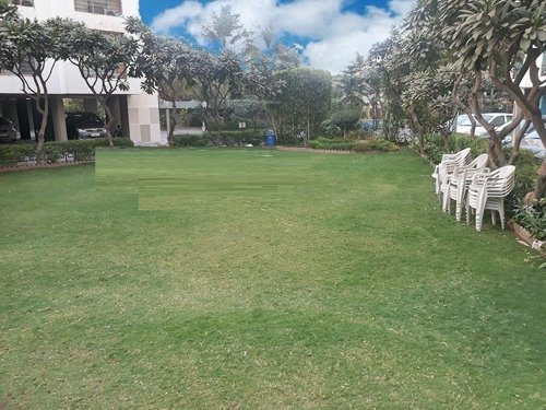  orchid Landscaped Gardens