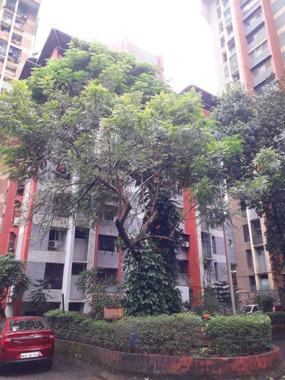  edenwoods Elevation