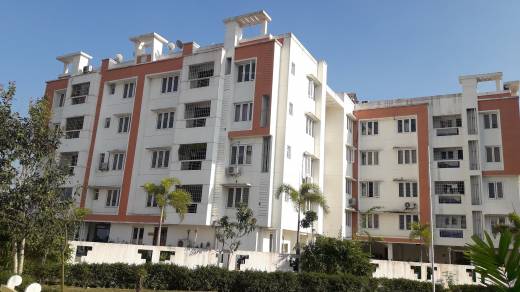 parradise Images for Project Images for Project