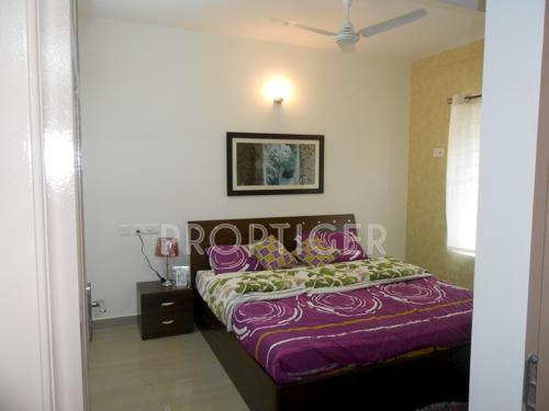 Images for Main Other of Romaa Parradise parradise Images for Main Other of Romaa Parradise