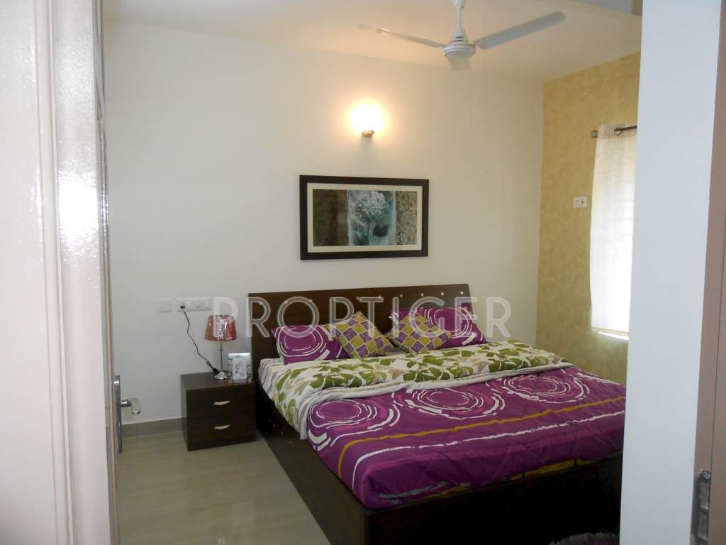 parradise Images for Main Other of Romaa Parradise