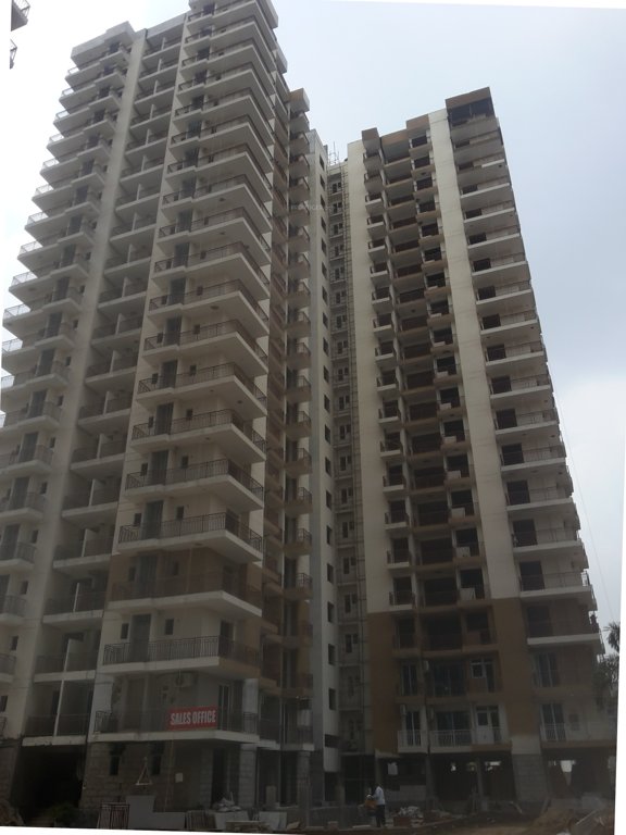  greens Images for Project