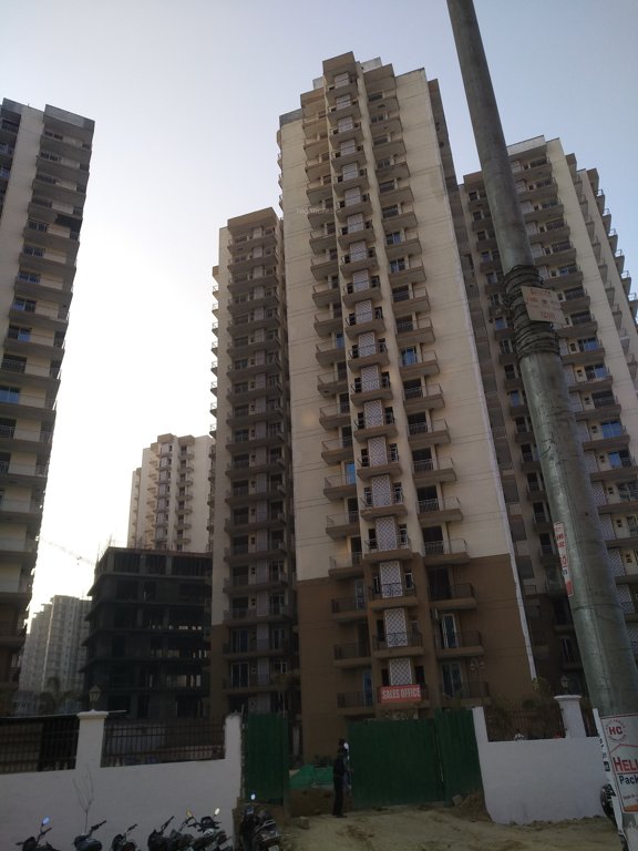  greens Images for Project