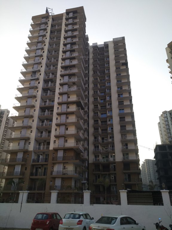  greens Images for Project