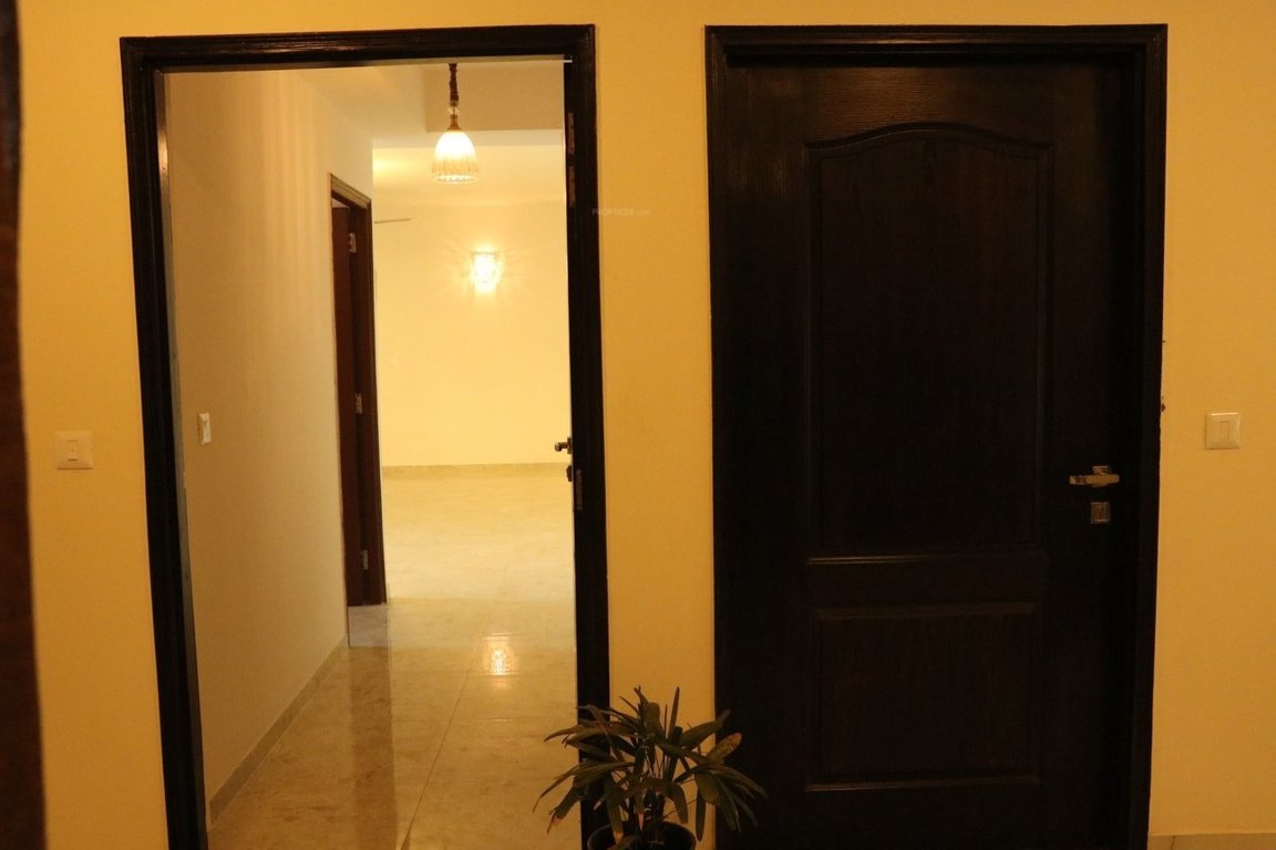  greens Images for mainOther