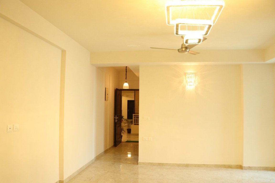  greens Images for mainOther