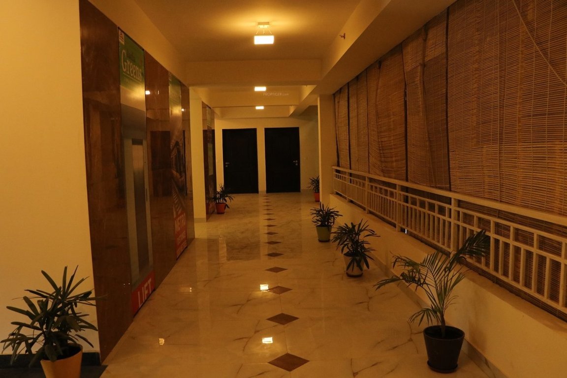  greens Images for mainOther