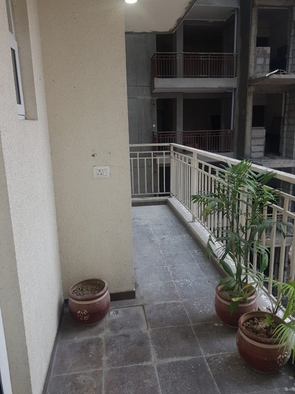  greens Images for mainOther