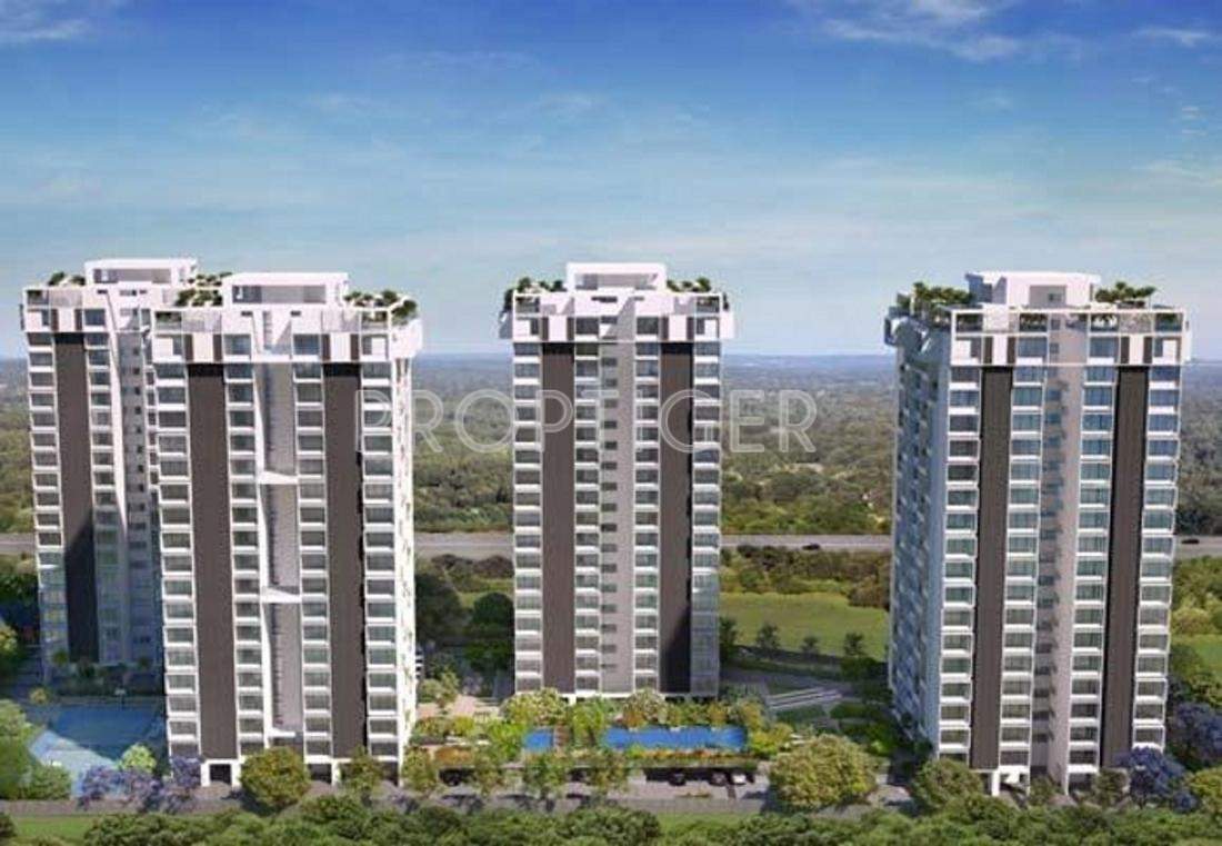 albero Images for Elevation of Marvel Albero