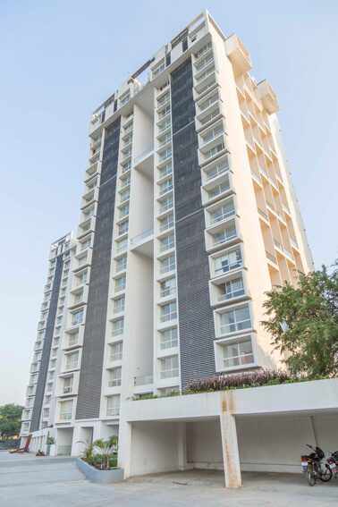  albero Images for Project