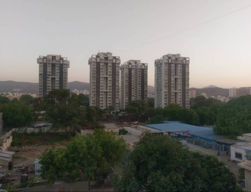 albero Images for Project