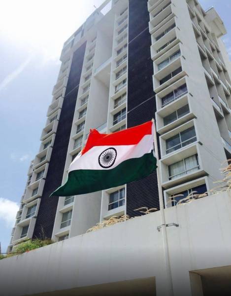  albero Images for Project