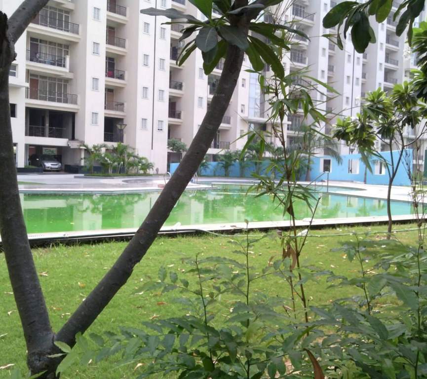  panorama Swimming Pool