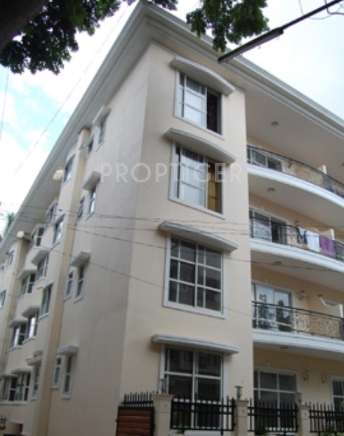 Images for Elevation of Gold Placido