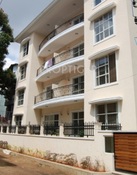 Images for Elevation of Gold Placido