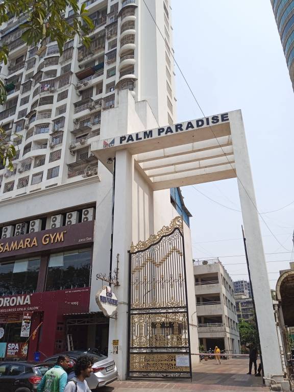  palm paradise Elevation